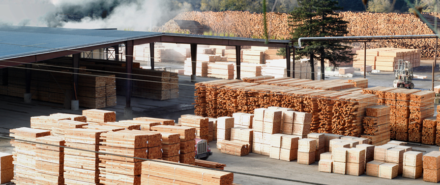 Preventing Product Loss in the Forest Products Industry with Durable Marking Solutions