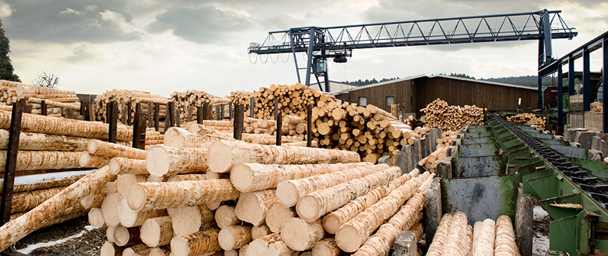 sawmill yard at capacity